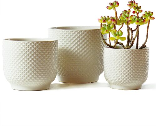 4 + 5 + 6 Inch Ceramic Pots for Indoor Plants, Succulents Plant Pots, Orchid Flower Pots with Drainage Hole, Modern Stoneware Clay Planters, Set of 3(White, 4+5+6 Inch)