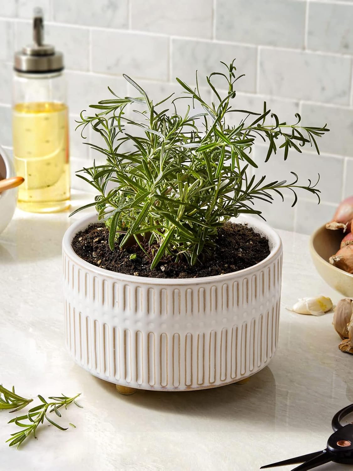 LE TAUCI Succulent Pots, 6.5+8 Inch Ceramic Indoor Plant Pot with Drainage Hole, Modern Round Decorative Flower Pot, Set of 2, Reactive Glaze White - Image 7