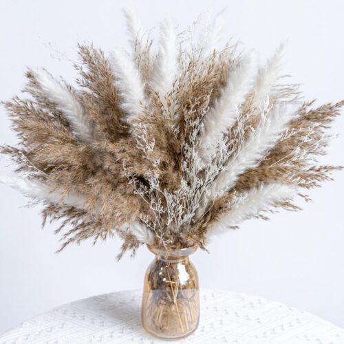 WILD AUTUMN Pampas Grass Decor dreid Flowers Fluffy pompas Grass vase Filler White Pampas Wedding Boho deocr Flowers Home Table Decor, Rustic Farmhouse (02-30White&20Brown)
