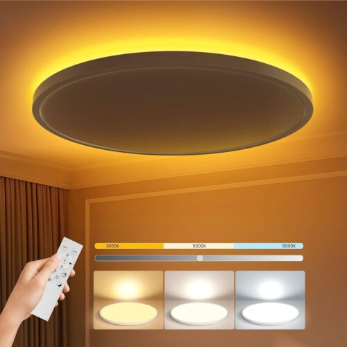Flush Mount Ceiling Light with Remote Control,12in 3CCT [2700K-6000K] Dimmable,Round Ultra-Thin Plafonnier with Smart App Control,24W 2400LM Luminaire for Bedroom/Living Room/Bathroom/Kitchen
